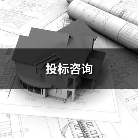投標咨詢