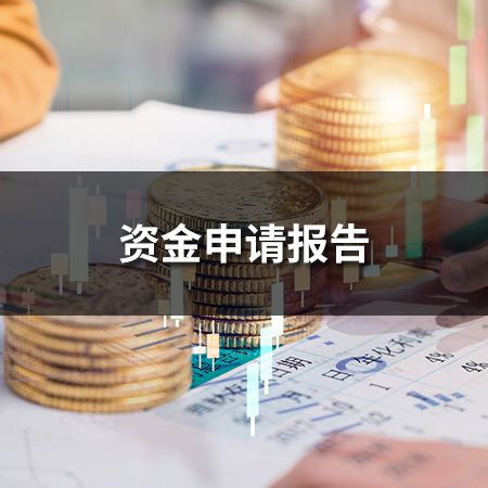 資金申請報告
