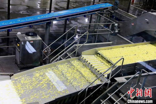 寧夏固原20億馬鈴薯項目落成 實現(xiàn)年加工冷凍馬鈴薯制品超19萬噸